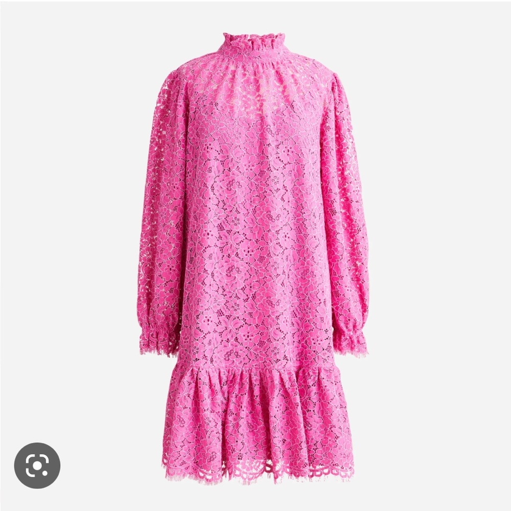 Pink J. Crew Ruffleneck Lace Dress Puff Sleeves Lined XS
